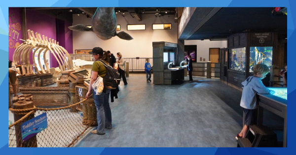 An interior scene in a children's museum with an illuminated sand table, aquarium, microscopes and whale skeleton.
